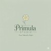 Primula Studio